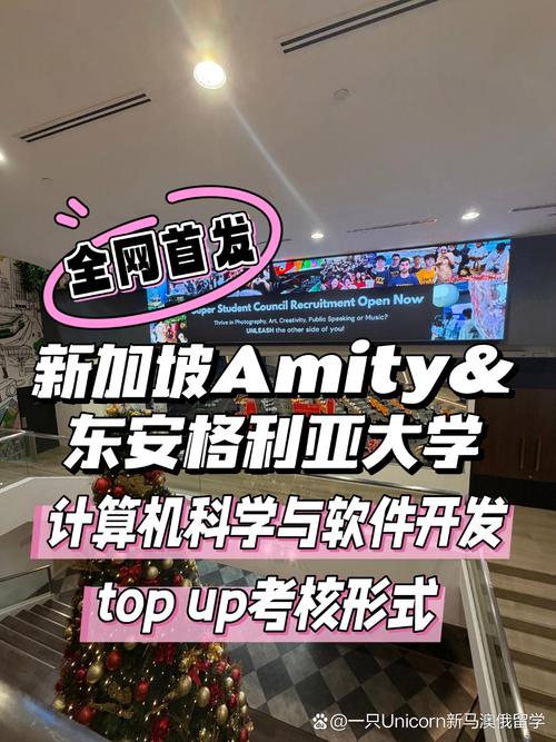 超硬解析 新加坡Amity与东安格利亚大学计算机科学与软件开发Top-up课程攻略